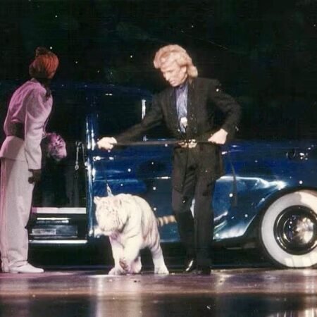 Siegfried & Roy’s Limos Fetching Pittance in Online Auction