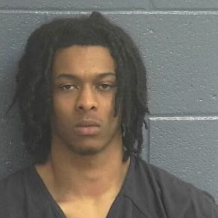 Man Pleads Guilty in Performer’s Death