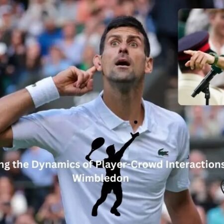 Djokovic Incident at Wimbledon: Player-Crowd Dynamics