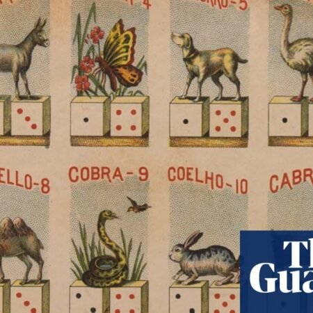 Jogo do Bicho: Brazil’s popular illegal animal lottery is losing its bite | Rio de Janeiro