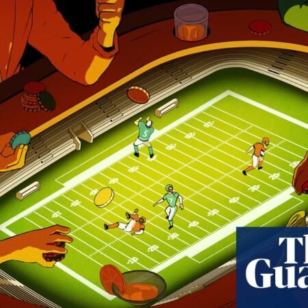 ‘A target on their back’: college athletes face wave of abuse amid gambling boom | Gambling